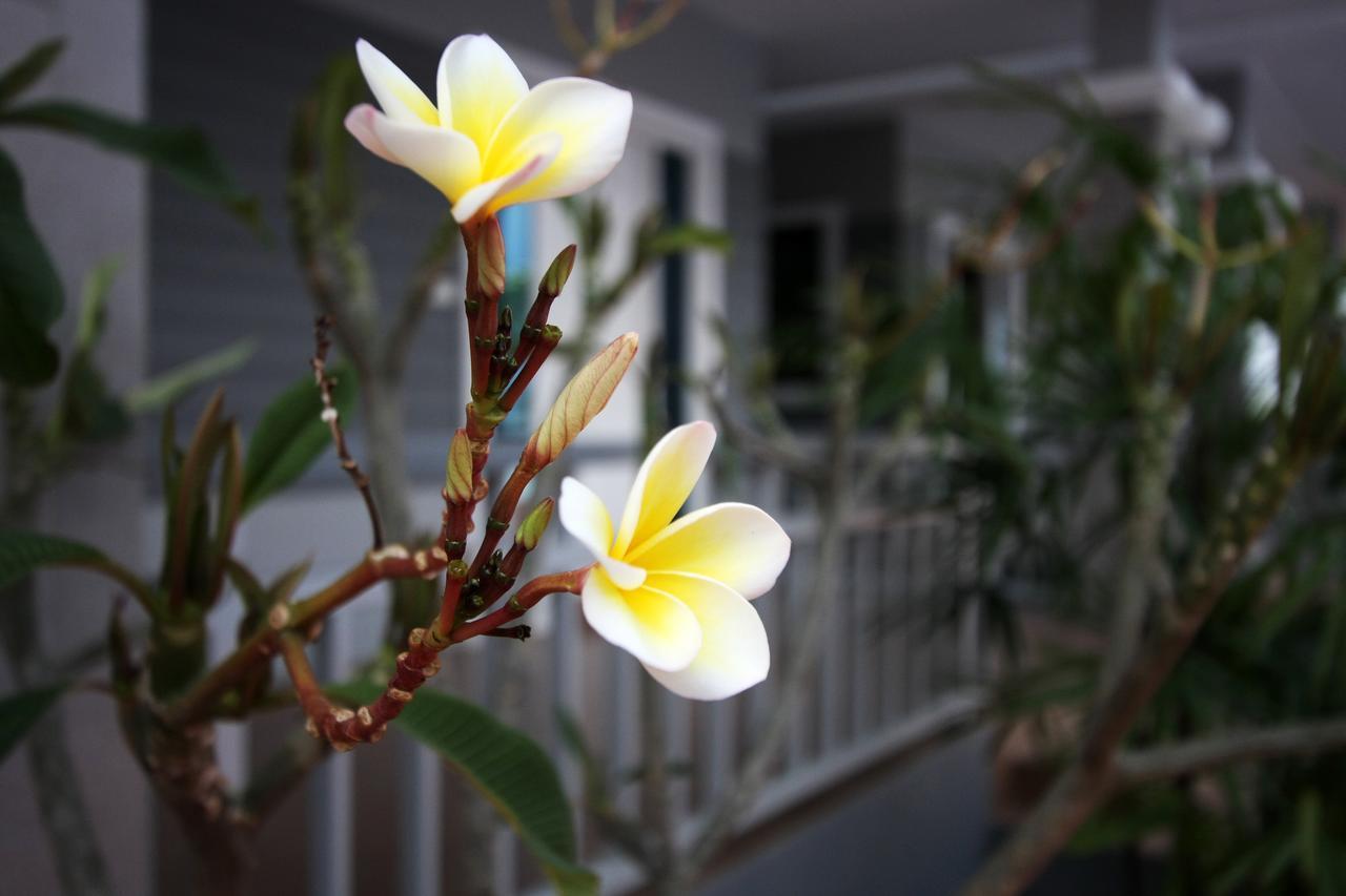 Rongsang Resort Nong Khae Dış mekan fotoğraf